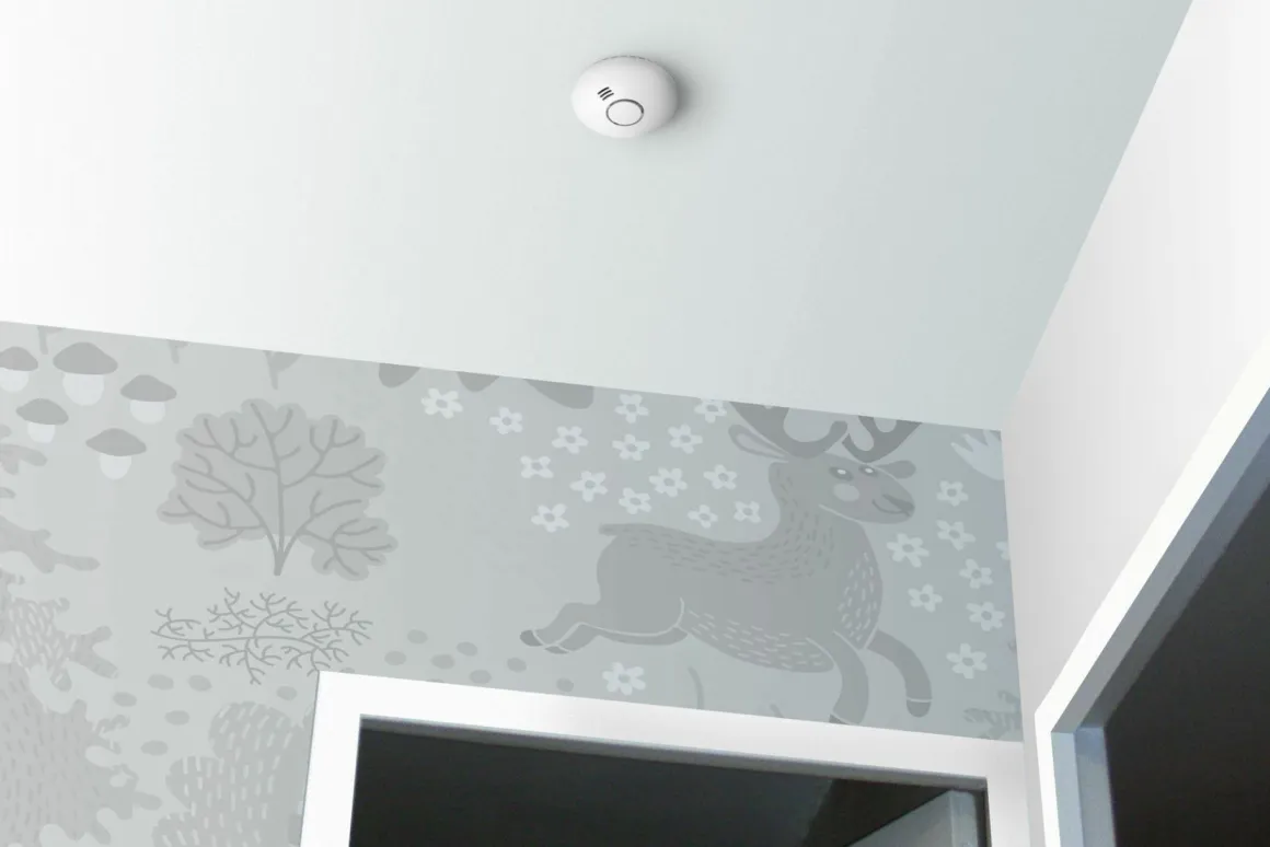 Alecto SMART-SMOKE10 Set mit 2 Rauchmeldern