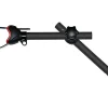 Fiamma Bike Block Pro S D2 mittellange Fahrradklemme – black