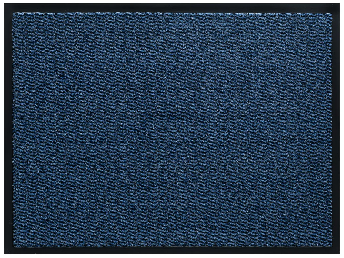 Hamat Spectrum 573 40 x 60 cm Fußmatte - Blue