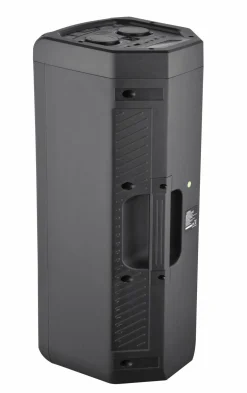 Reflexion PS09BT Bluetoothbox mit Radio