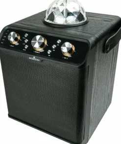 Schwaiger Bluetooth Party Lautsprecher