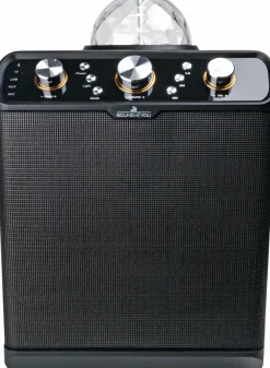 Schwaiger Bluetooth Party Lautsprecher