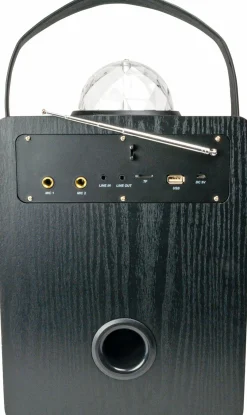 Schwaiger Bluetooth Party Lautsprecher