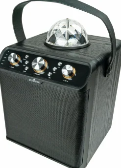 Schwaiger Bluetooth Party Lautsprecher