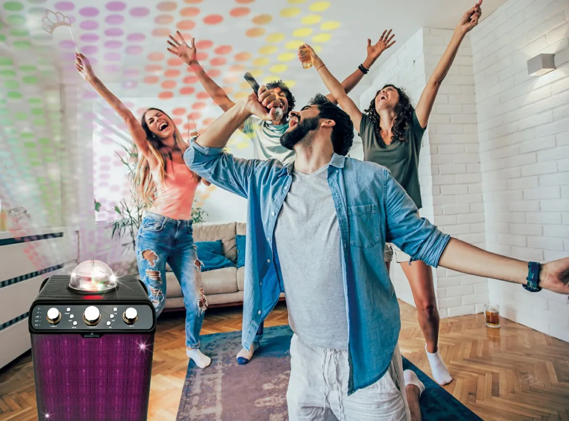 Schwaiger Bluetooth Party Lautsprecher