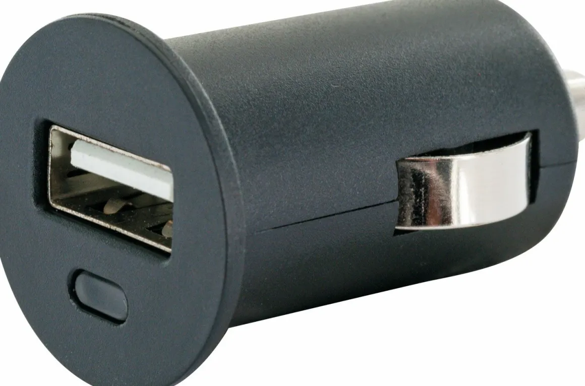 Schwaiger LSET200 schwarzes 12-Volt Micro-USB Ladeset