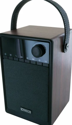 Schwaiger 715736 Radiowecker mit Powerbank