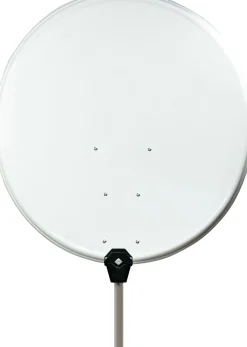Schwaiger SPI980.0 hellgrauer 98 cm Stahl-Spiegel