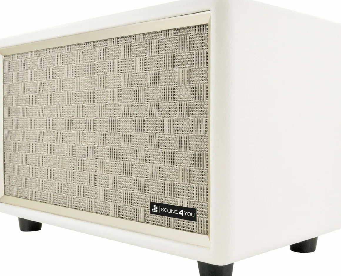 Schwaiger 24 Watt Retro Bluetooth Lautsprecher