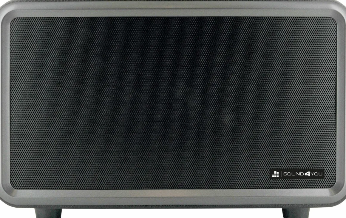 Schwaiger 24 Watt stereo Bluetooth Lautsprecher - Black