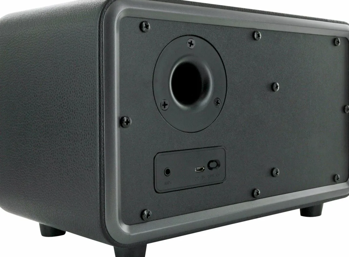 Schwaiger 24 Watt stereo Bluetooth Lautsprecher - Black