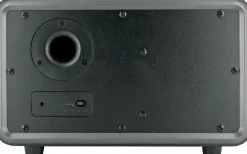 Schwaiger 24 Watt stereo Bluetooth Lautsprecher - Black