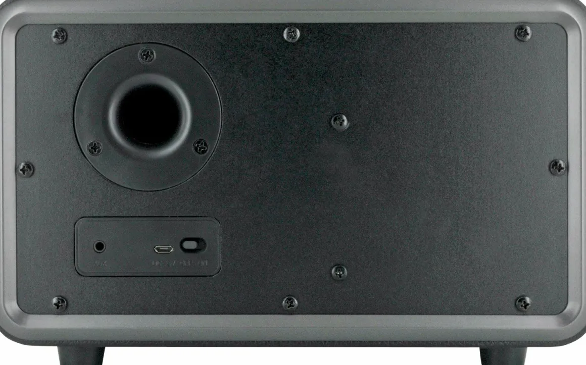 Schwaiger 24 Watt stereo Bluetooth Lautsprecher - Black