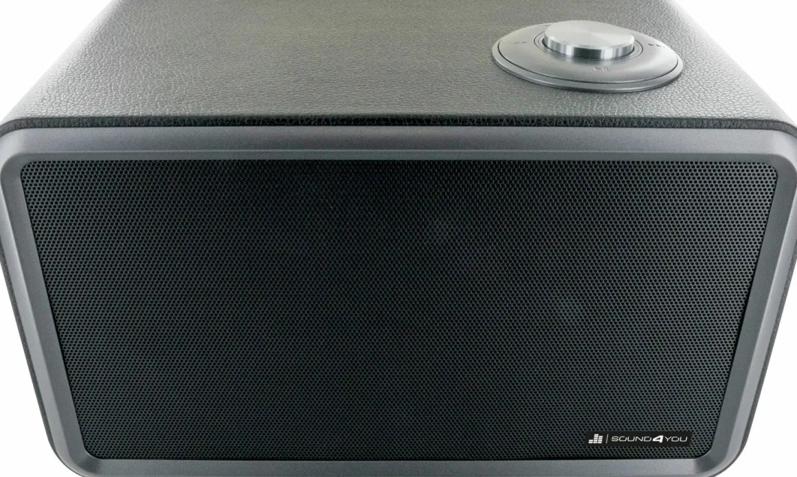 Schwaiger 24 Watt stereo Bluetooth Lautsprecher - Black