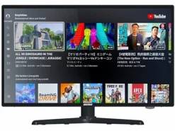 Selfsat Smart-LED-TV 1222 22"